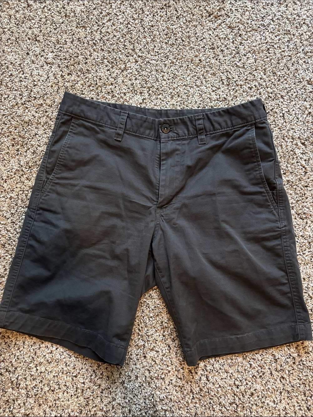 The North Face Black Men's Flat-Front Shorts